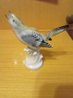 Német Ens Volkstedt porcelán madár