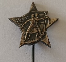 Veteránok és Partizánok jelvény