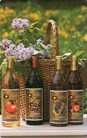 Kártyanaptár: ÁGKER 1983.