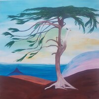 A cédrus - tanulmány