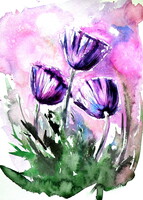 Purple poppies - watercolor painting/ Lila pipacsok -   akvarell festmény
