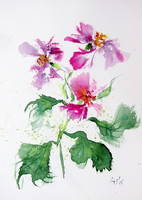 Pink florals V- watercolor painting / Rózsaszín virágok V - akvarell festmény