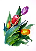 Tulips II - watercolor painting - Tulipánok II - akvarell festmény
