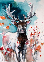 Deer II watercolor painting / Szarvas II - akvarell festmény