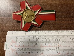Forradalmi Ifjúsági Napok jelvény