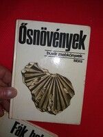 1983.Hably-Bíró: Ősnövények (búvár zsebkönyvek) – Móra Ferenc Könyvkiadó képek szerint