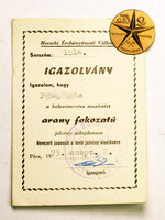Balesetmentes Munkáért jelvény arany fokozat 1973 MÉV