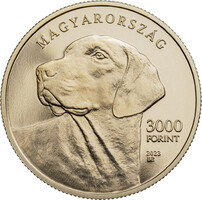 Erdélyi Kopó 3000 Forint 2023 BU