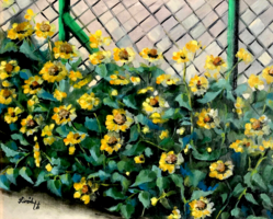 A kerítés mentén - 40 x 50 centis olajfestmény
