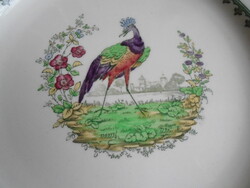 Antik, angol, kézi festésű  COPELAND tányér.