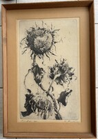 Hertay maria picture sunflower