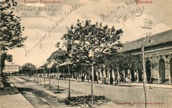 Képeslap: Szentes. 1903.