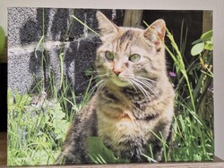 40x30 cm-es falikép poszter