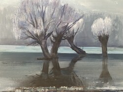 Csizmadia Zoltán: Tiszapart