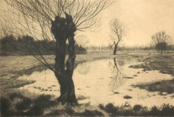 Szennik György (1923 – 2007) : Zsennyei rét
