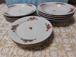 Alföldi vadrózsás, piros-sárga virágos porcelán tányérok, mély, lapos, süteményes