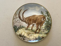 WALLENDORFI PORCELÁN FALITÁL HEGYI KŐSZÁLI KECSKE VADÁSZ KÉPPEL - CAPRA IBEX