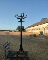 Sötétbarna 6 ágú fogas