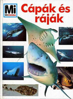 Mi micsoda? - Cápák és ráják - B. Vitus Dröscher