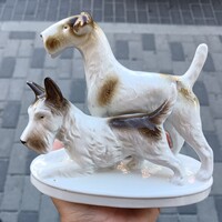 GDR-es foxterrier kutyapár