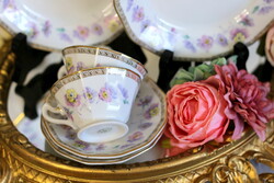 Antik Haas & Czjzek, Schlaggenwald, finomporcelán kávés trió, 2  együtt