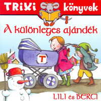 A különleges ajándék - Lili és Berci - Brückner Judit
