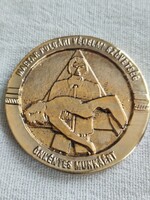 Magyar polgári védelmi szövetség önkéntes munkáért adott kitüntetés