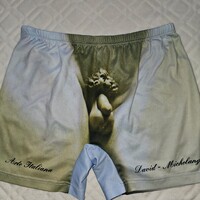 🩳 Michelangelo Dávid ihlette fürdőnadrág / boxer / short