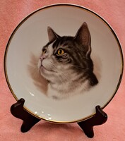 Macskás porcelán tányár, cicás falitányér (L5713)