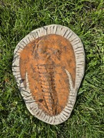 • Large, genuine trilobite/ancient crustacean fossil - new, handcrafted jewelry!