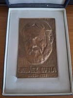 Juhász Gyula Bronz Plakett