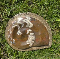 • Large, genuine ammonite fossil - new, many handcrafted jewelry!