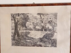 Biai-Föglein István: Napos tisztás