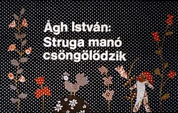 Nagyon ritka diafilm:  Struga manó csöngölődzik 26.