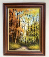 Obermayer (1965- ) Fényes ösvény 40x30cm + keret