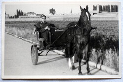 Régi fotó képeslap  - német birodalmi  katona lovas fogaton 1943