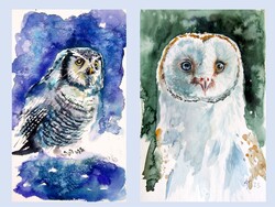 Owl collection -  watercolor painting - Bagoly  kollekció  - akvarell festmény