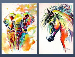 Colorful animals collection -  watercolor painting -Színes állatok kollekció  - akvarell festmény