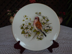 Royal Worcester madaras kínáló , tányér