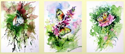 Butterfly collection -  watercolor painting - Lepke  kollekció  - akvarell festmény