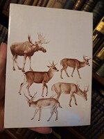 1979 GONDOLAT-POSZTHUMUSZ ELSÓ KIADÁS SZÉCHÉNYI ZSIGMOND:SZARVASOK NYOMÁBAN! extra gyűjtői-boritós!