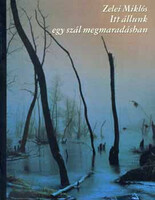 Itt állunk egy szál megmaradásban - Zelei Miklós