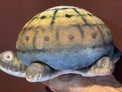 Simó Ágoston samottos teknős