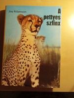 Joy Adamson A pettyes szfinx