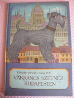 Csukás István; Gaál Éva: Vakkancs szétnéz Budapesten mesekönyv