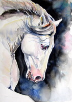 White horse II- watercolor painting/ Fehér ló II -   akvarell festmény