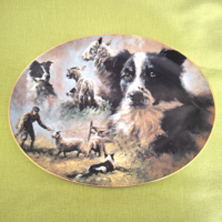 Angol porcelán dísztányér, Border kutya, ovális tál,  tányét
