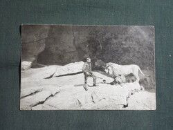Képeslap,Budapest állatkert sorozat,29.sz,Celesto az oroszlán barlangban,1913-