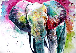 Beautiful majestic elephant - watercolor painting/  Gyönyörű fenséges elefánt - akvarell festmény