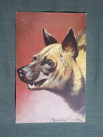 Képeslap,művészet,Donadini. jr. grafika,állatok,Hiéna, 1923-